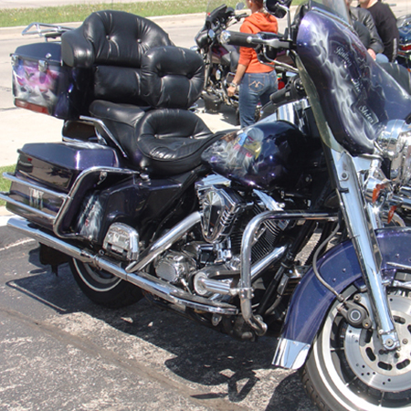 Custom painted harley bagger, ice pear with animal and people portraits, harley logo and flames